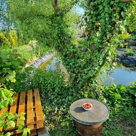 Apartament U Beti Ополе Екстериор снимка